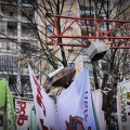 Il Ragno ballerino (Pholcus phalangioides) - deroga agli insetti - posizionato sulla Gru al 42° Corteo di Carnevale di Scampia, domenica 11 febbraio 2024. Ph Alessia Maturi.