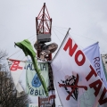 Il Ragno ballerino (Pholcus phalangioides) - deroga agli insetti - posizionato sulla Gru al 42° Corteo di Carnevale di Scampia, domenica 11 febbraio 2024. Ph Alessia Maturi.