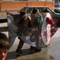 1987. Il pesce. Struttura di cartone di Rosario Cuomo.