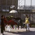 1989. Il carro degli animali.