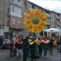Il girasole accompagnato da un 