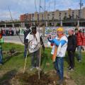 Durante il falò, viene piantato un Diospiros Kaki nell’aiuola dell’Asia del “Giardino dei cinque continenti e della nonviolenza”, 36° Corteo di Carnevale di Scampia, domenica 11 febbraio 2018. Ph. Aniello Gentile.