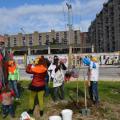 Durante il falò, viene piantato un Diospiros Kaki nell’aiuola dell’Asia del “Giardino dei cinque continenti e della nonviolenza”, 36° Corteo di Carnevale di Scampia, domenica 11 febbraio 2018. Ph. Aniello Gentile.