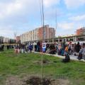 Il Diospiros Kaki (albero sopravvissuto alla bomba atomica su Nagasaki) inserito nell’aiuola Asia del “Giardino dei cinque continenti e della nonviolenza” al 36° Corteo di Carnevale di Scampia, domenica 11 febbraio 2018.