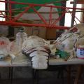 Segmenti del pidocchio in via di rivestimento (fil di ferro, stoffa, pittura, plastica). Laboratori di Carnevale 2015. Ph. Martina Pignataro.