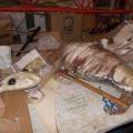 Rivestimento del pidocchio (fil di ferro, stoffa, pittura, plastica). Laboratori di Carnevale 2015. Ph. Martina Pignataro.