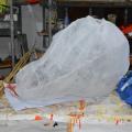 Rivestimento in lanetta della pulce (Pulex irritans). Laboratori di Carnevale 2019. Ph. Martina Pignataro.
