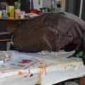 Rivestimento in stoffa riciclata marrone della pulce (Pulex irritans). Laboratori di Carnevale 2019. Ph. Martina Pignataro.