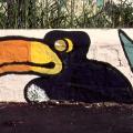 Il tucano (particolare).