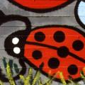 La coccinella  (particolare).