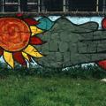 Il sole e la natura viva.
