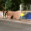 Cancellazione con solvente del mural in via di facimento imposta dal Comune-committente.