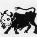 Mucca sana (linoleografia). Illustrazione da 