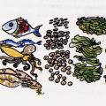 Illustrazione per l