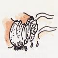 Illustrazione per l