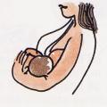 Illustrazione per l