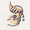 Illustrazione per l