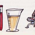 Illustrazione per l