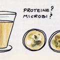 Illustrazione per l