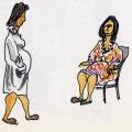 Illustrazione per l