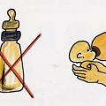 Illustrazione per l