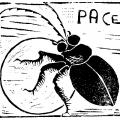 Illustrazione per il racconto 