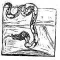 Illustrazione per il racconto 