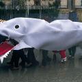 1986. La balena e la pioggia.