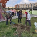 Piantumazione a Largo Battaglia al termine del 38° Corteo di Carnevale di Scampia, domenica 23 febbraio 2020. 