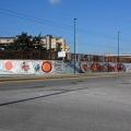 Disvelamento del mural operato da Gaetano Picillo e i volontari della "rete Pangea".