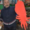 Il prototipo di pappicio (cartone) ai laboratori per il 38° Corteo di Carnevale di Scampia, gennaio 2020. Ph. Martina Pignataro.
