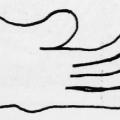 Mano. Illustrazione dal libro.
