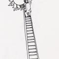 Illustrazione dal libro.