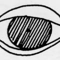 Occhio. Illustrazione dal libro.