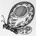 Farfalla. Illustrazione dal libro.