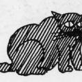 Gatto. Illustrazione dal libro.