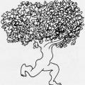 Il cammino della pace: mural a Monteforte Irpino. Albero in cammino. Illustrazione dal libro.