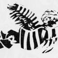 Icaro. Illustrazione dal libro.