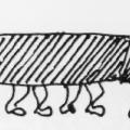 Lo scarrafone portato da tutta la classe. Illustrazione dal libro.
