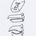 Come fare una maschera di cartoncino. Illustrazione dal libro.
