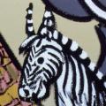 La zebra (particolare).