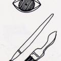 Occhio e pennelli. Illustrazione dal libro.