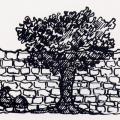 Albero vero e albero dipinto. Illustrazione dal libro.
