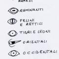 I diversi tipi di occhi. Illustrazione dal libro.